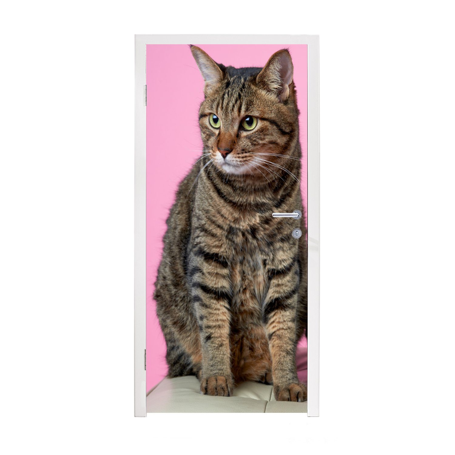 MuchoWow Türtapete Katze - Rosa - Pouf - Mädchen - Kinder - Kinder, Matt, bedruckt, (1 St), Fototapete für Tür, Türaufkleber, 75x205 cm