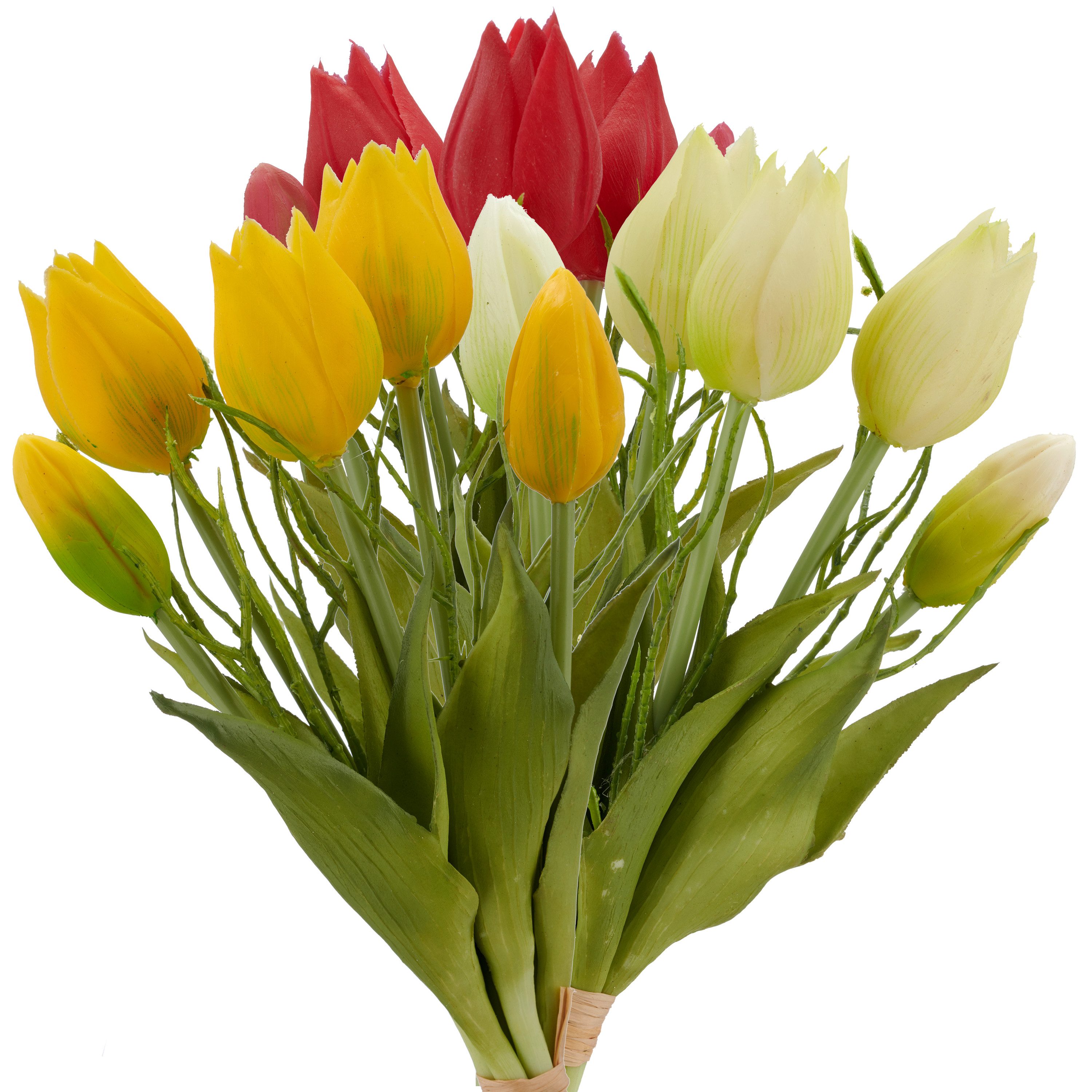 Kunsttulpe Tulpenbund, Creativ green, Höhe 25 cm, mit Zweigen