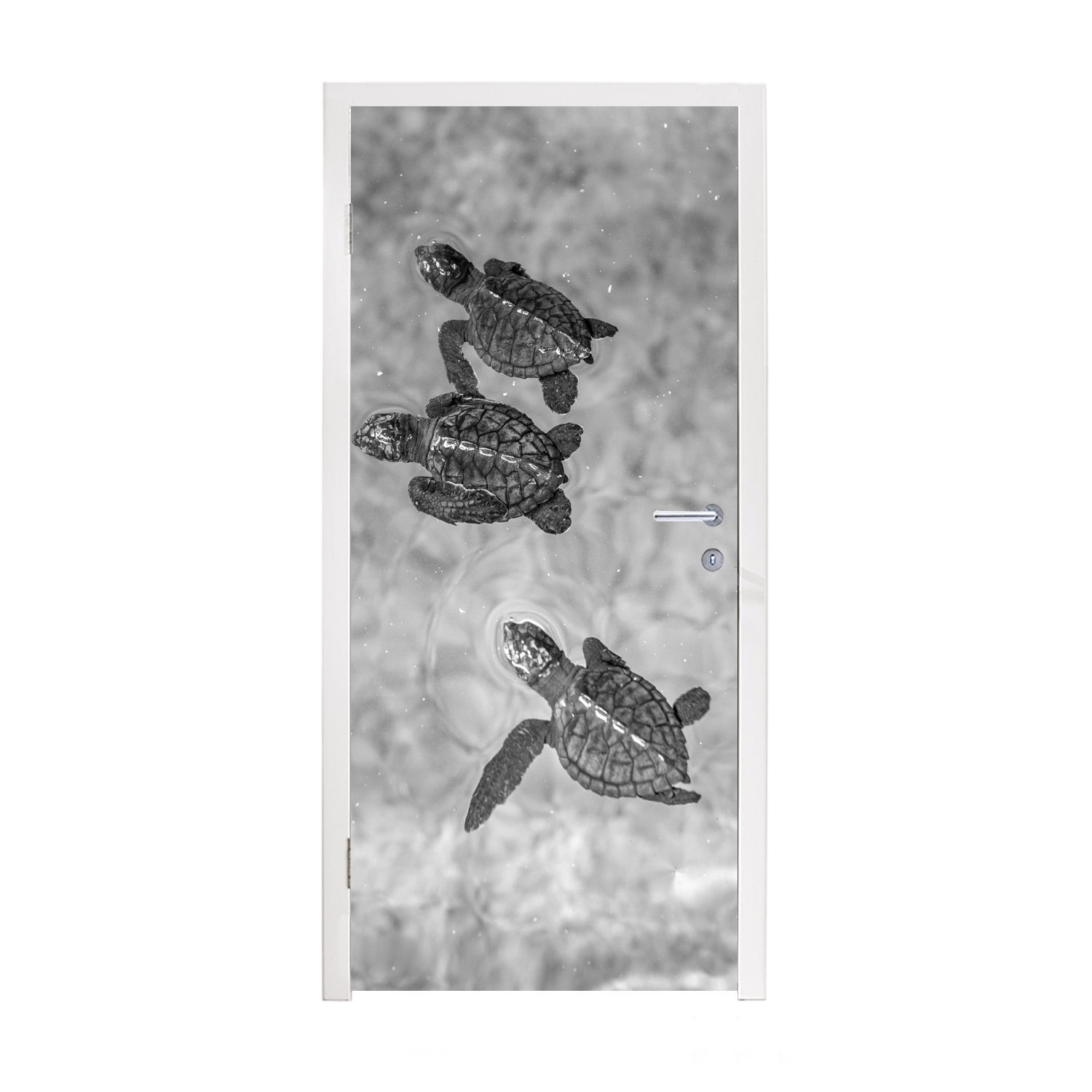 MuchoWow Türtapete Schildkröten schwarz-weiß Foto, Matt, bedruckt, (1 St), Fototapete für Tür, Türaufkleber, 75x205 cm