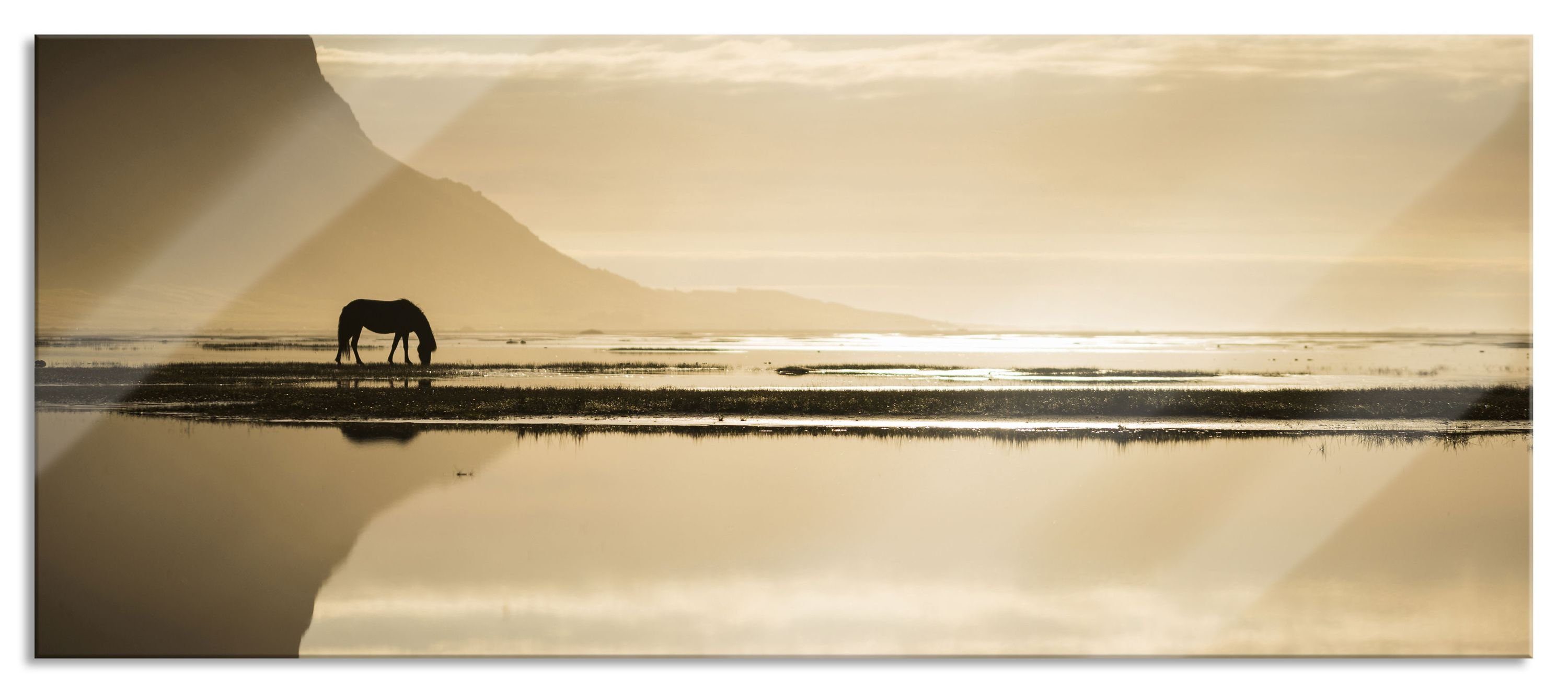 Glasbild am Aufhängungen Insel Glasbild einer Insel, (1 inkl. Pixxprint am Ufer Pferd Abstandshalter Ufer Echtglas, St), aus Pferd und einer