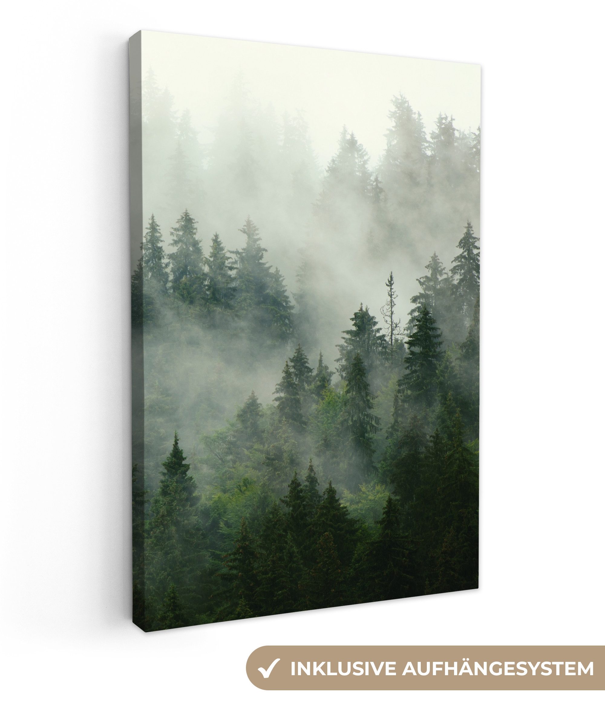 OneMillionCanvasses® Leinwandbild Wald - Nebel - Bäume - Natur, Fotodruck ( günstig online kaufen