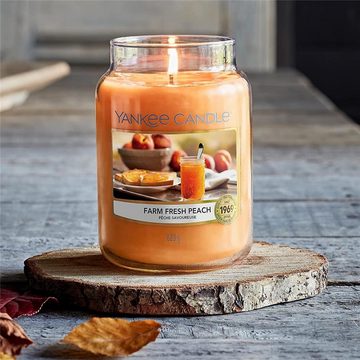 Yankee Candle Duftkerze Farm Fresh Peach (Duftkerze, 1-tlg., im Glas mit Deckel), 623 g, Pfirsich, bis 150 Stunden Brenndauer, Stimmungskerze Geschenk