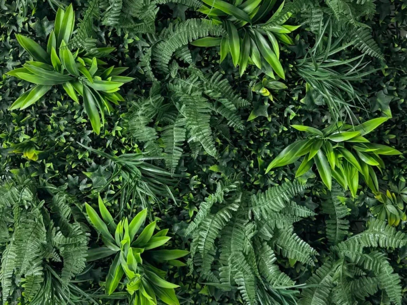 ASCountrystone Wandpaneel Wandgrün Kunsthecke 100x100cm, BxL: 100,00x100,00 cm, 1,00 qm, einfache Montage, ideal als elegantes Wanddesign, leichte Anbringung