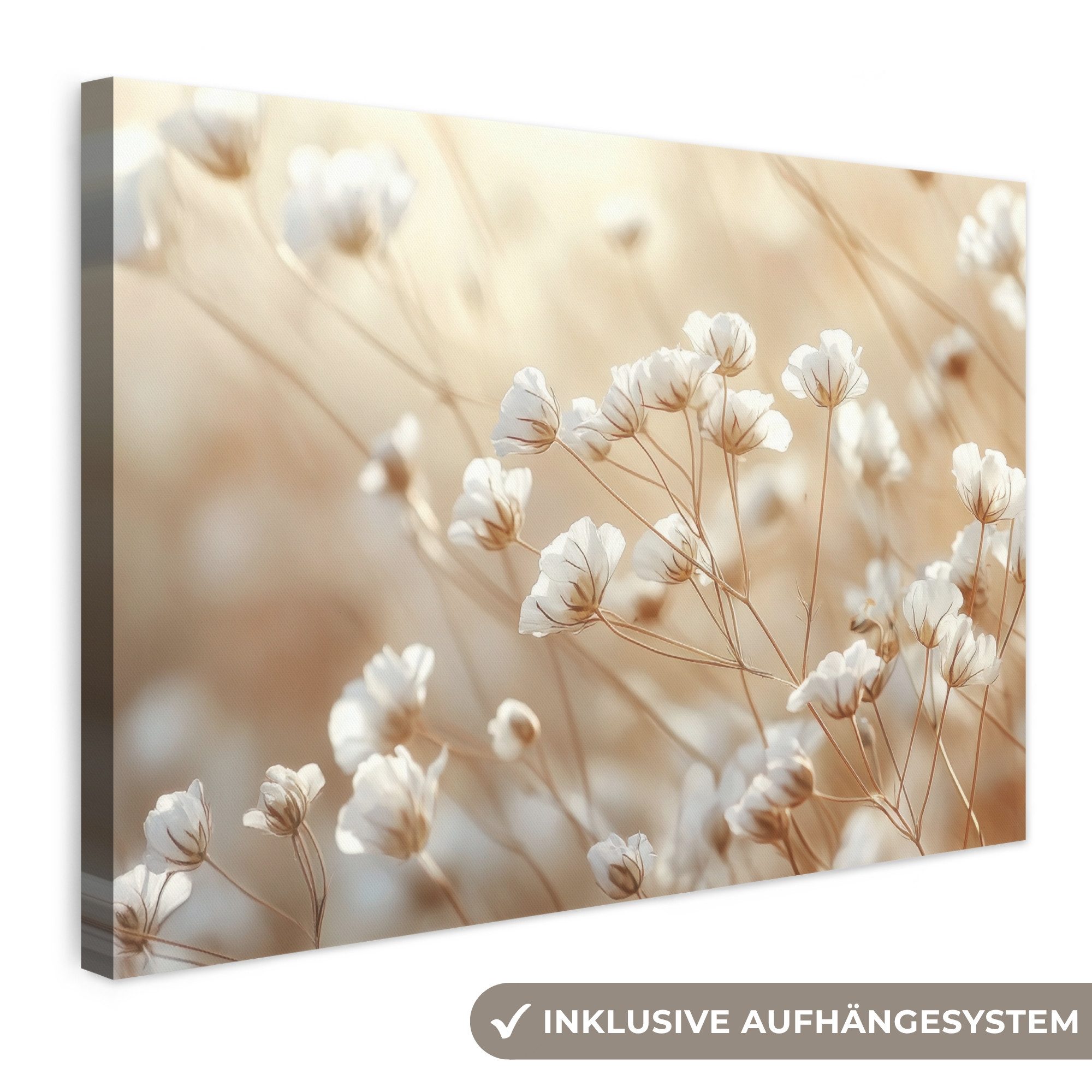 OneMillionCanvasses® Leinwandbild Wild - Blumen - Weiß, Fotodruck (1 St), Leinwand Bilder Klein, Wand Dekoration Aesthetic 30x20 cm