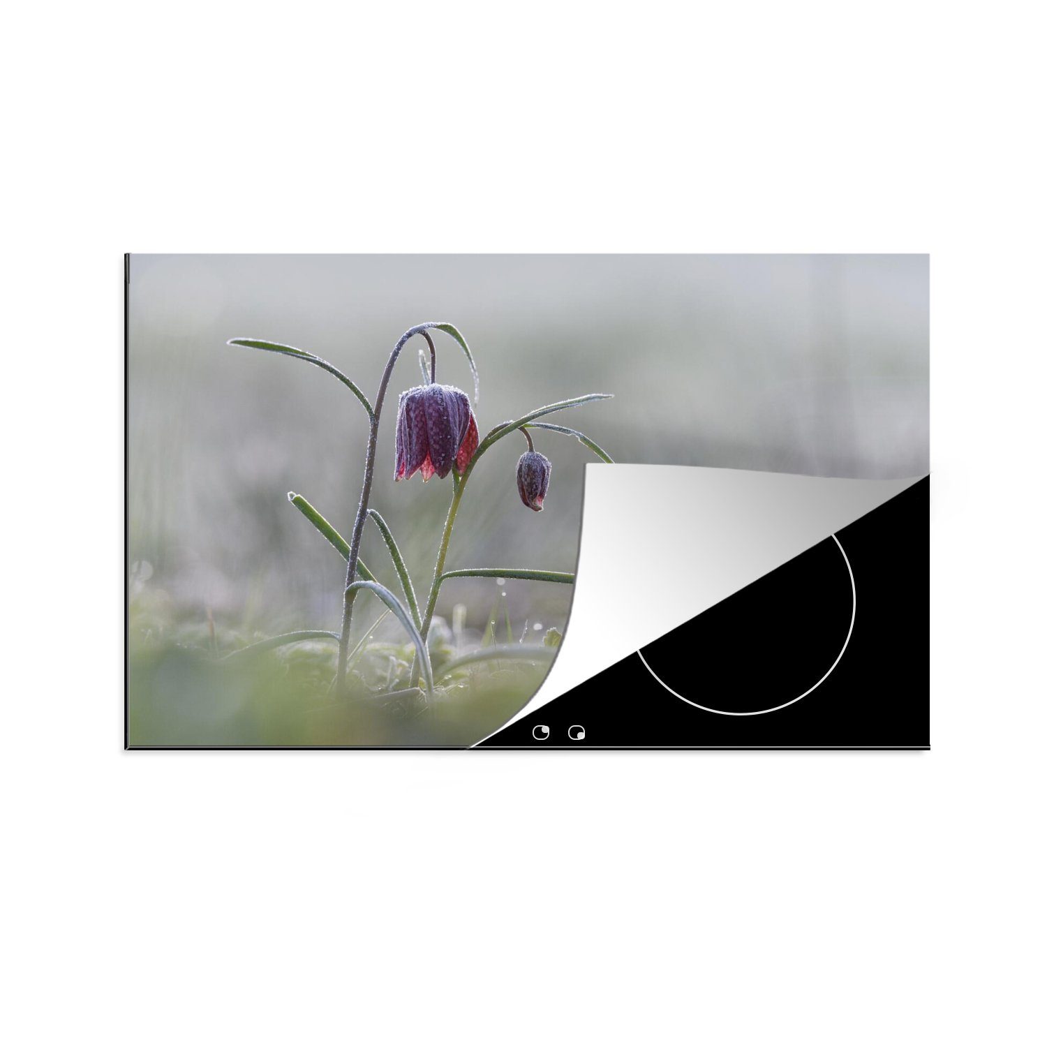 MuchoWow Herdblende-/Abdeckplatte Gefroren - Eiscreme - Blumen, Vinyl, (1 tlg), 81x52 cm, Induktionskochfeld Schutz für die küche, Ceranfeldabdeckung