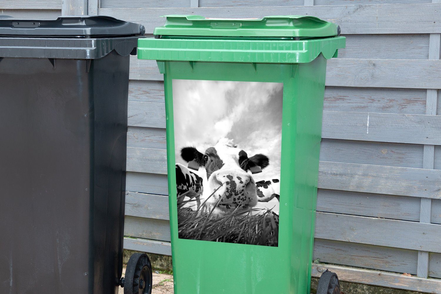 MuchoWow Wandsticker Nahaufnahme und Sticker, (1 Kuh - schwarz Mülleimer-aufkleber, St), Mülltonne, Abfalbehälter weiß Container