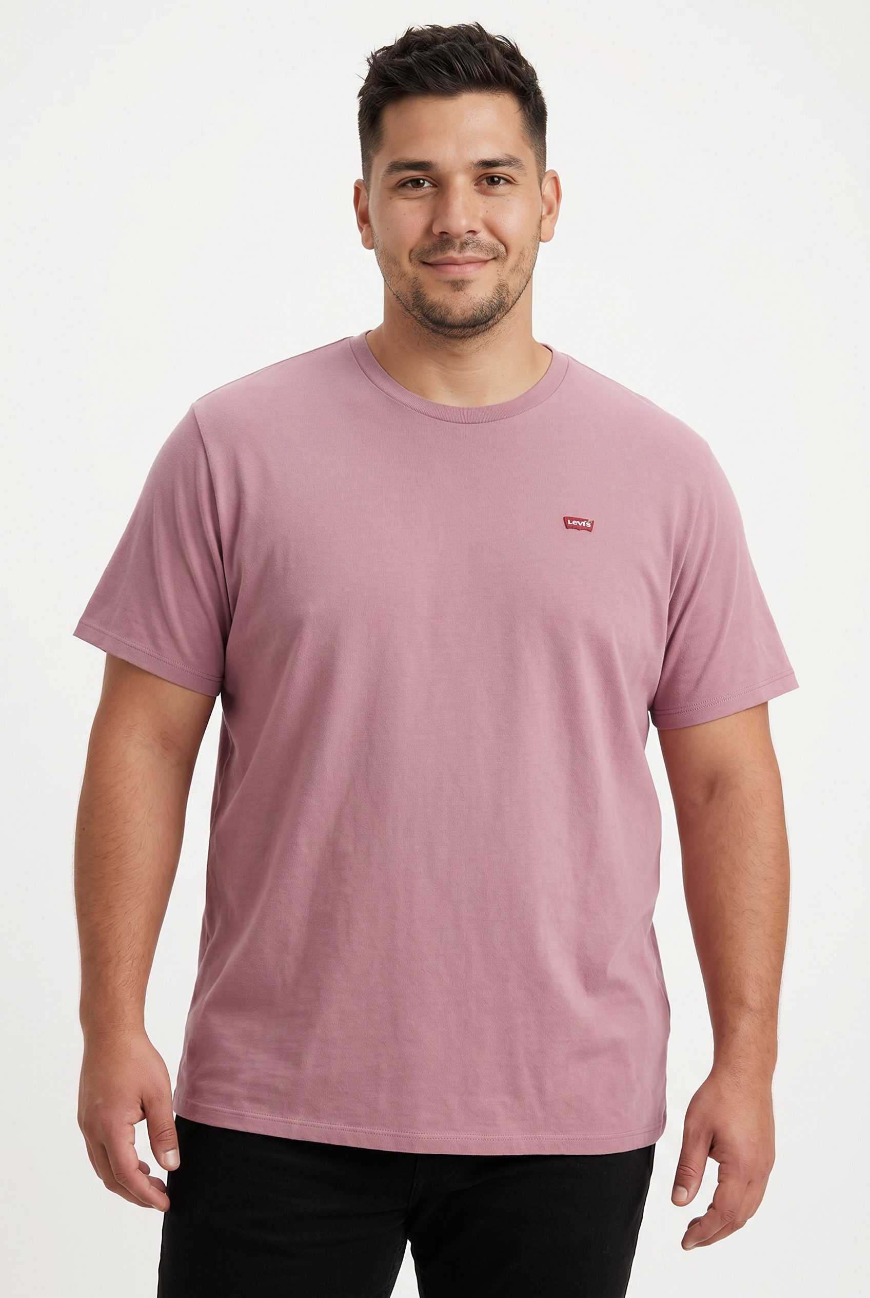 Levi's® Plus T-Shirt LE BIG ORIGINAL HM TEE mit Logo Stickerei