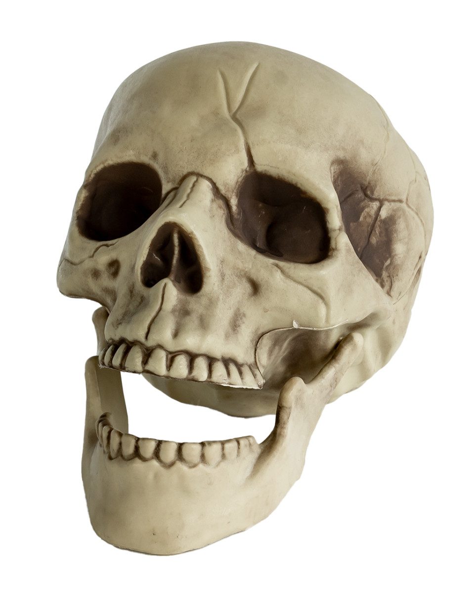 Dekoobjekt Totenkopf mit beweglichem Kiefer 20cm als Deko