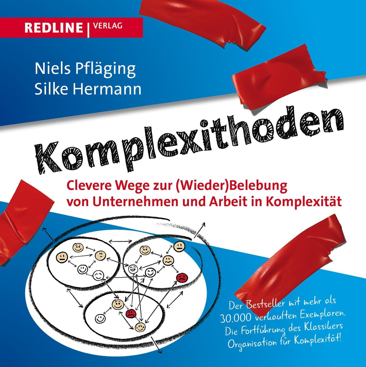 Sachbuch Komplexithoden Clevere Wege zur (Wieder)Belebung von Unternehmen und A Niels Pfläging, Silke Hermann