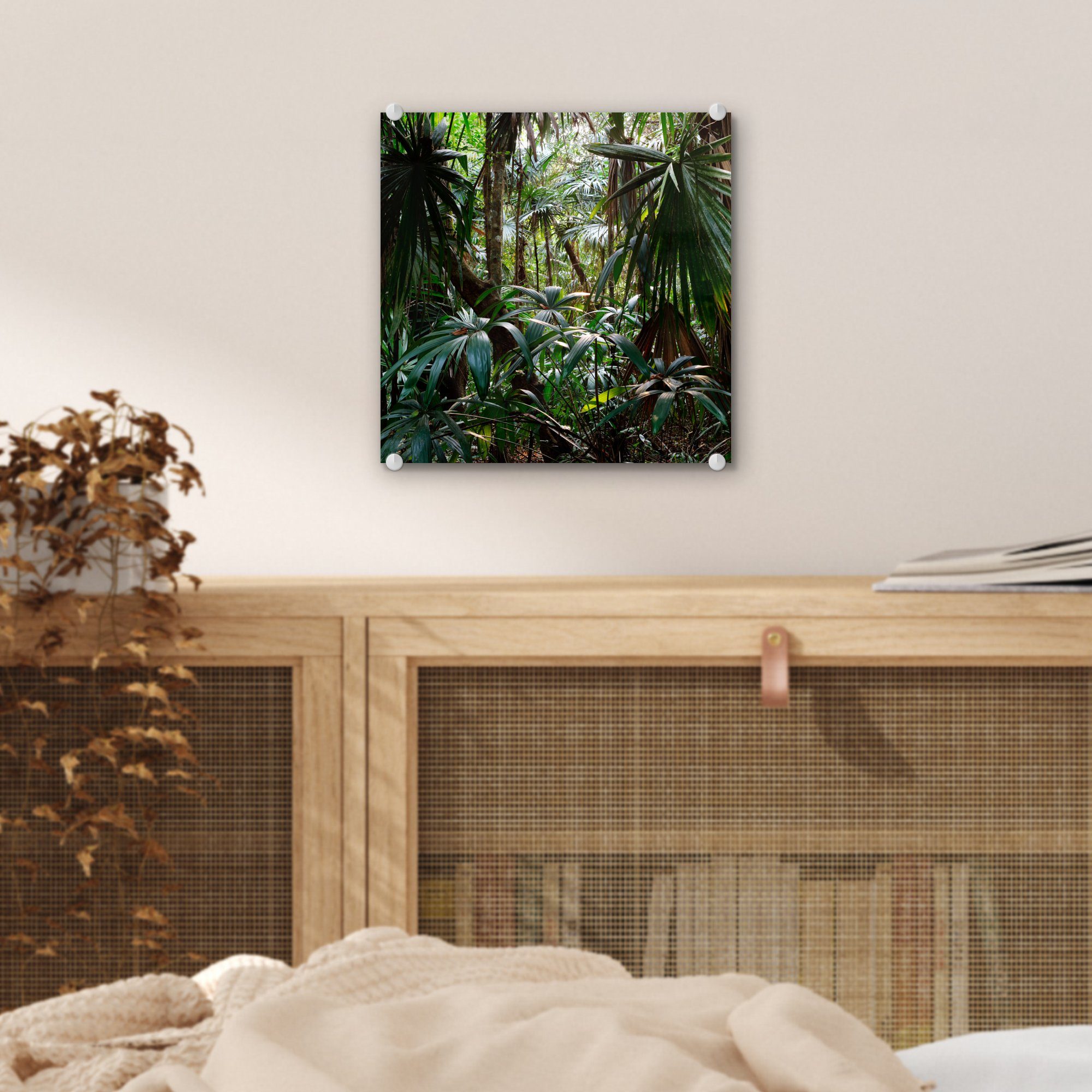 Foto MuchoWow auf im Glas Regenwald, Pflanzen - - Glasbilder St), Wandbild Glas (1 Bilder bunt Wanddekoration Acrylglasbild auf -