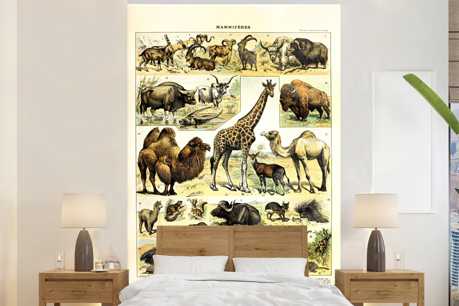 MuchoWow Fototapete Tiere - Giraffe - Kamel, Matt, bedruckt, (3 St), Montagefertig Vinyl Tapete für Wohnzimmer, Wandtapete