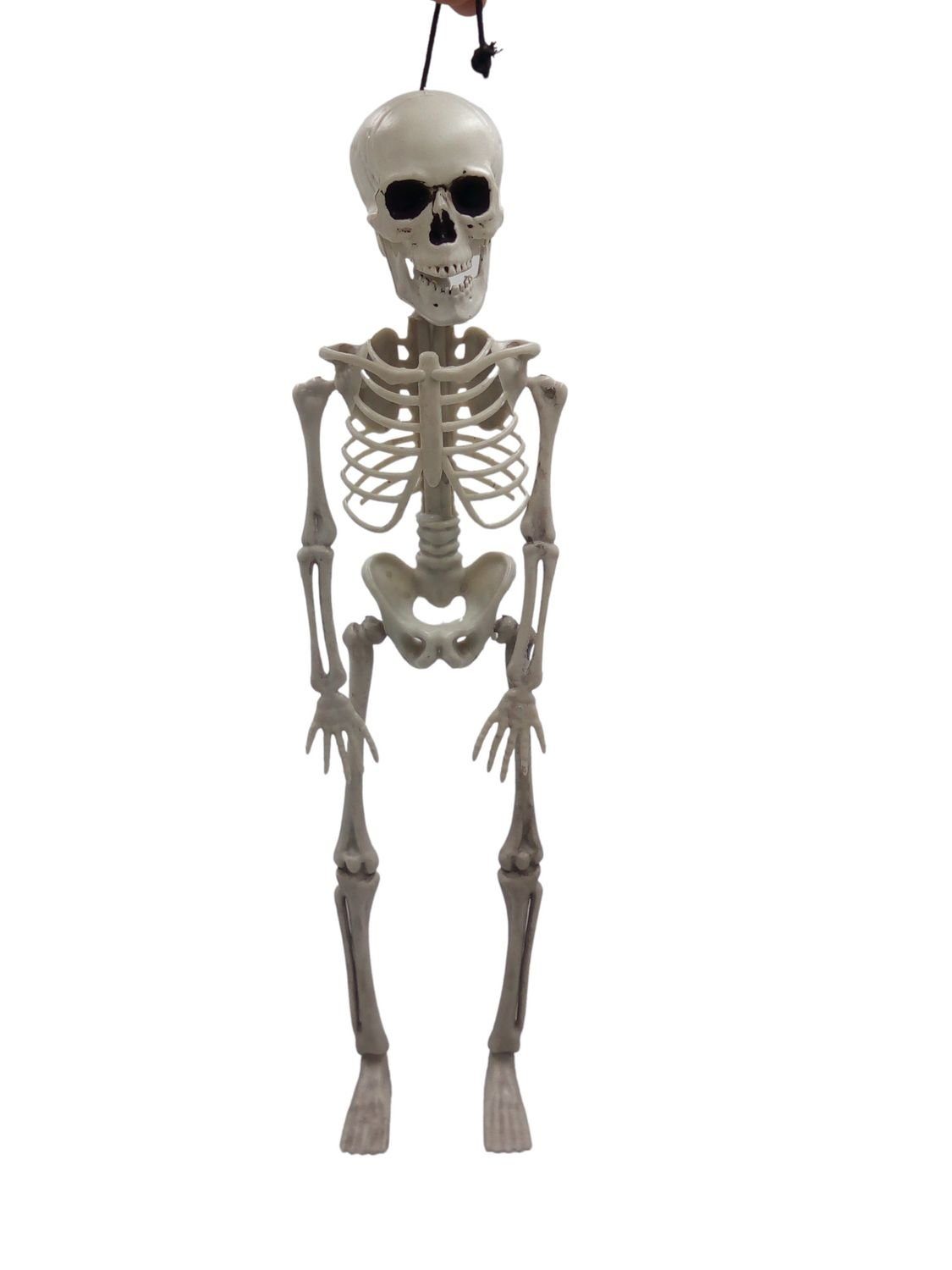Koopman Dekofigur Halloween Skelett 42cm Herbstdeko Halloweenartikel Dekofigur beweglich