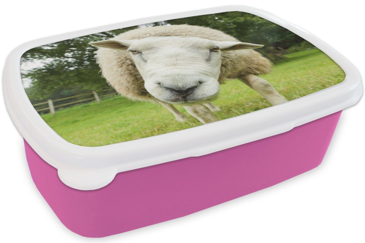 Brotbox Mädchen rosa Lunchbox - - - MuchoWow - Kinder, Wiese Kind, Jungen Erwachsene, (2-tlg), Mädchen, Brotdose - Schaf Kunststoff für Kunststoff, Lustig Kinder Snackbox, -
