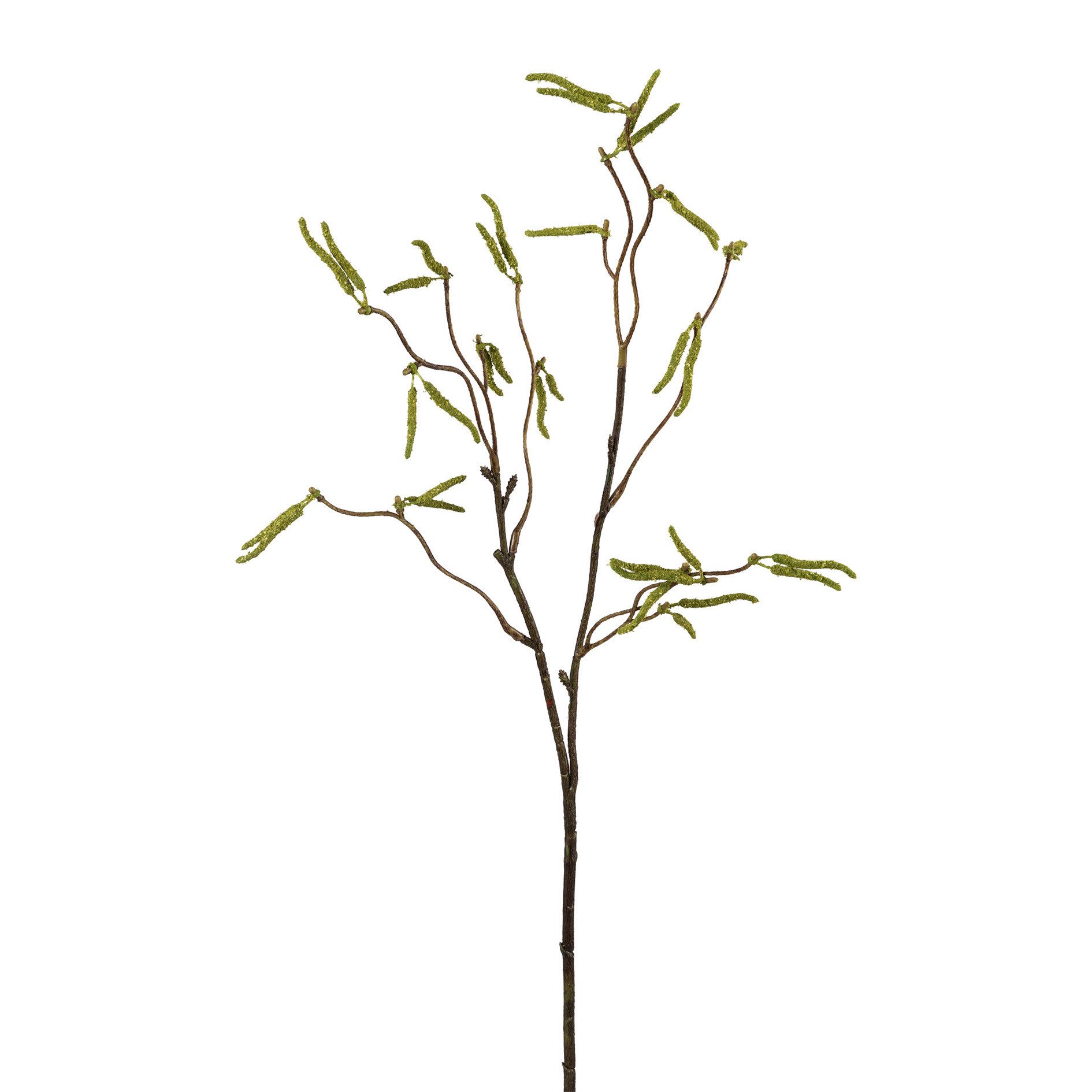 Kunstzweig Künstlicher Birkenzweig 53cm. Birke-Zweig mit Birken-Kätzchen. CREME, Gasper, Höhe 53.00 cm