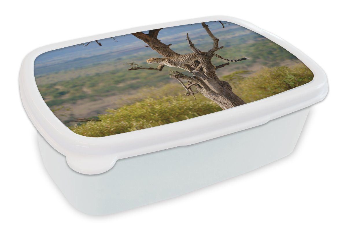 MuchoWow Lunchbox Leopard - Baum - Tier, Kunststoff, (2-tlg), Brotbox für Kinder und Erwachsene, Brotdose, für Jungs und Mädchen weiß