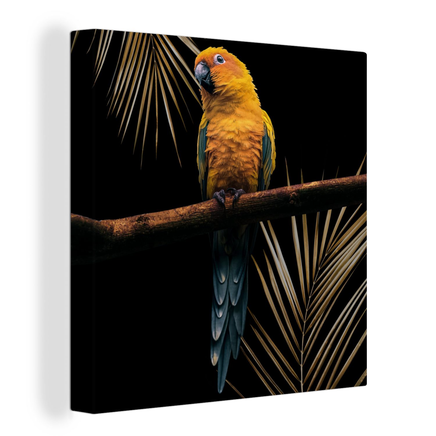 OneMillionCanvasses® Leinwandbild Vogel - Papagei - Zweig - Farn, (1 St), Leinwand Bilder für Wohnzimmer Schlafzimmer