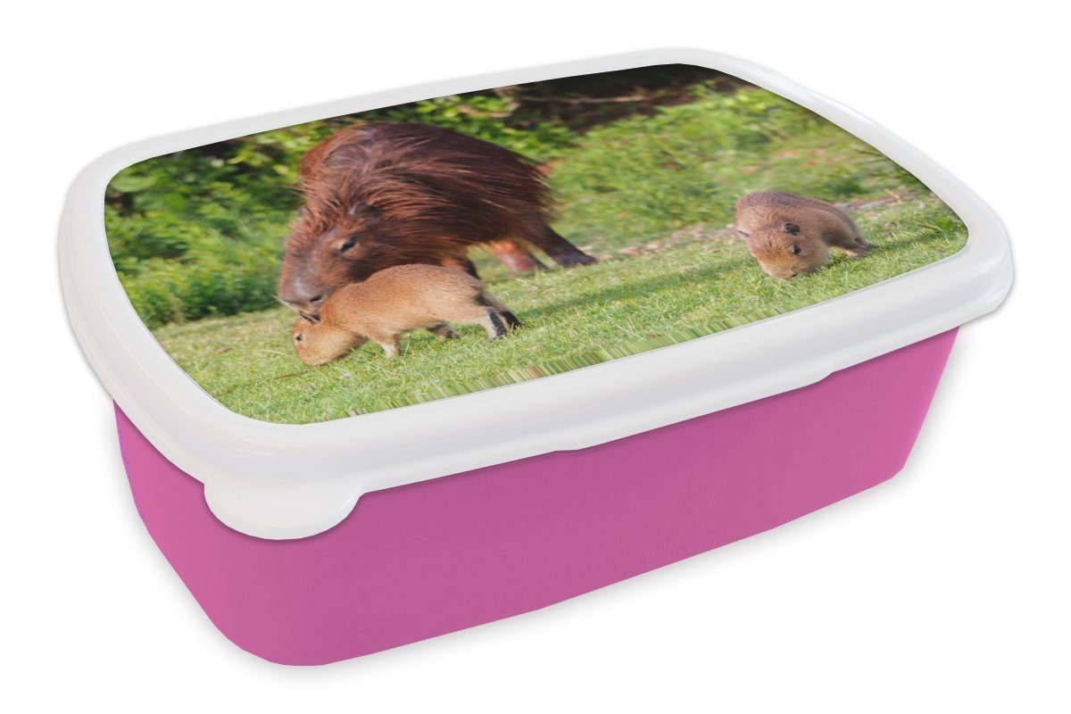 MuchoWow Lunchbox Capibara-Familie im Gras, Kunststoff, (2-tlg), Brotbox für Erwachsene, Brotdose Kinder, Snackbox, Mädchen, Kunststoff rosa