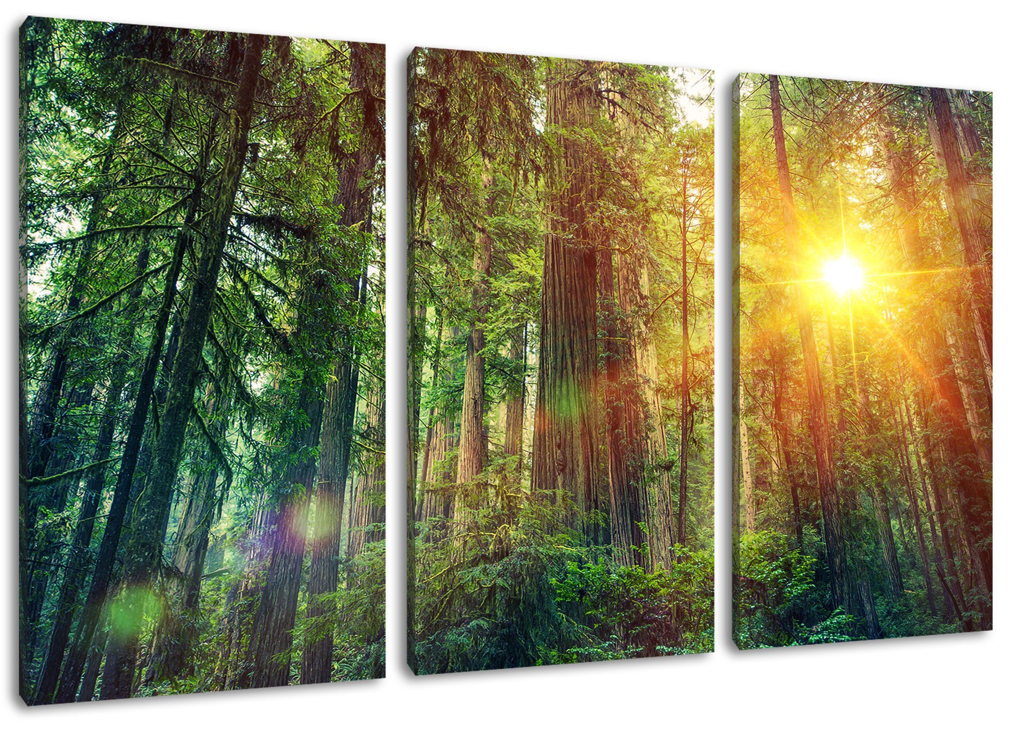 3Teiler bei inkl. bei fertig Wald (120x80cm) Leinwandbild St), bespannt, Wald Sonnenlicht Sonnenlicht, Pixxprint Zackenaufhänger (1 Leinwandbild