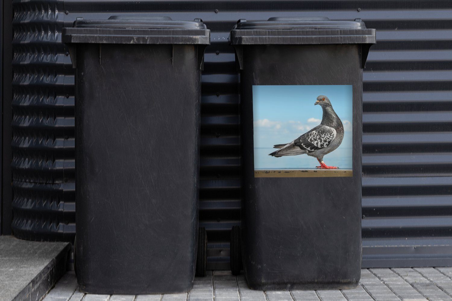auf am Wandsticker (1 Taube einer Meer MuchoWow Eine Mauer Mülltonne, schöne Abfalbehälter Sticker, Mülleimer-aufkleber, Container, St), sitzt