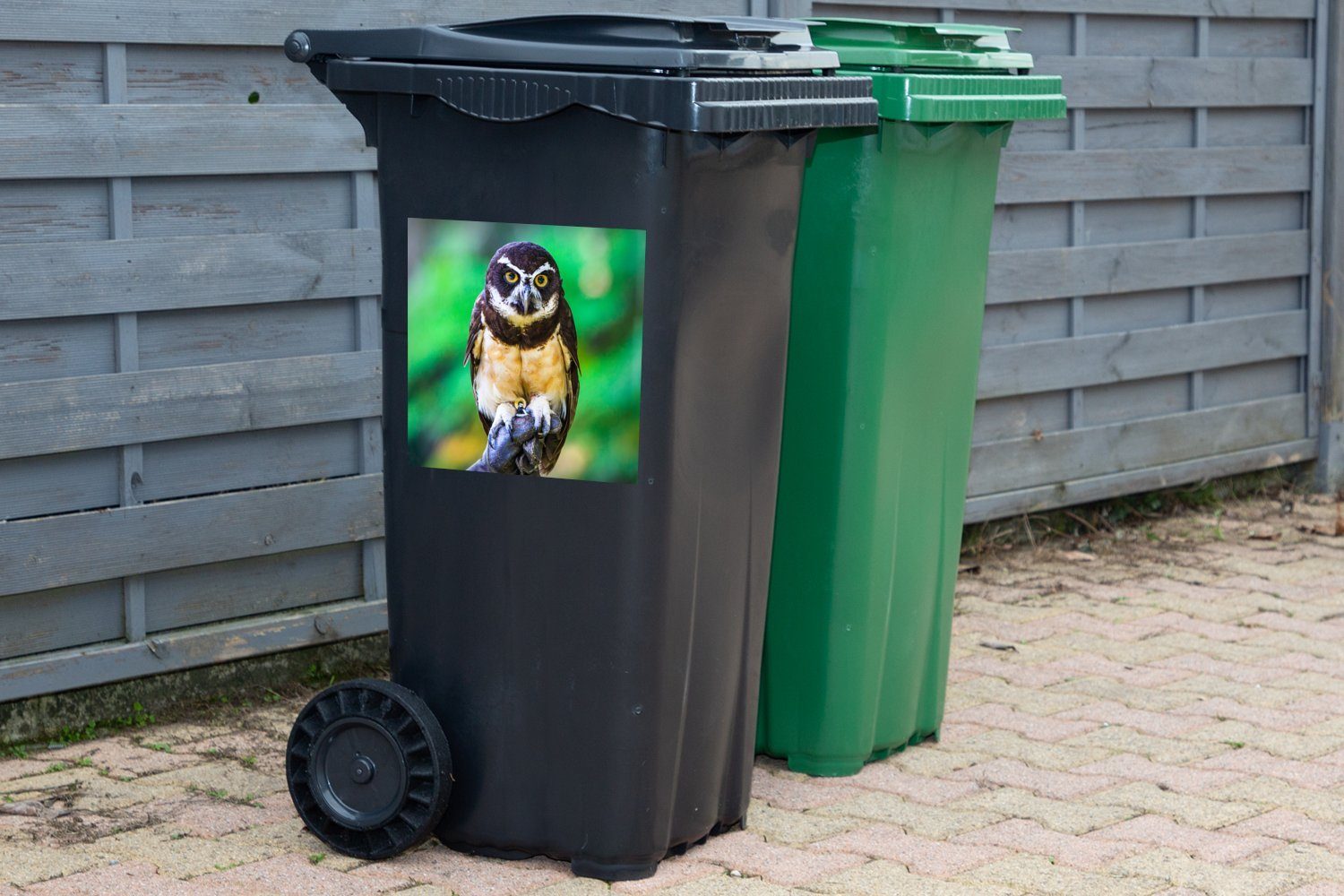 der Mülltonne, Mülleimer-aufkleber, Brillen-Eule St), MuchoWow Wandsticker Container, (1 Die Sticker, Abfalbehälter Farben