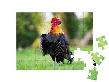 puzzleYOU Puzzle Imposanter Hahn auf der Wiese, 48 Puzzleteile, puzzleYOU-Kollektionen Hähne, Bauernhof-Tiere