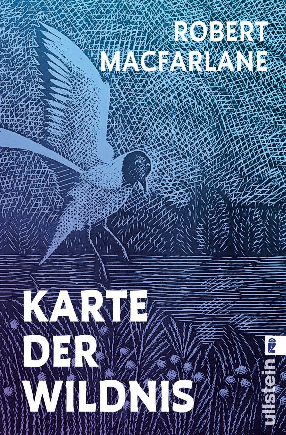Reiseführer Karte der Wildnis Eine literarische Suche nach den letzten unberührten Robert Macfarlane