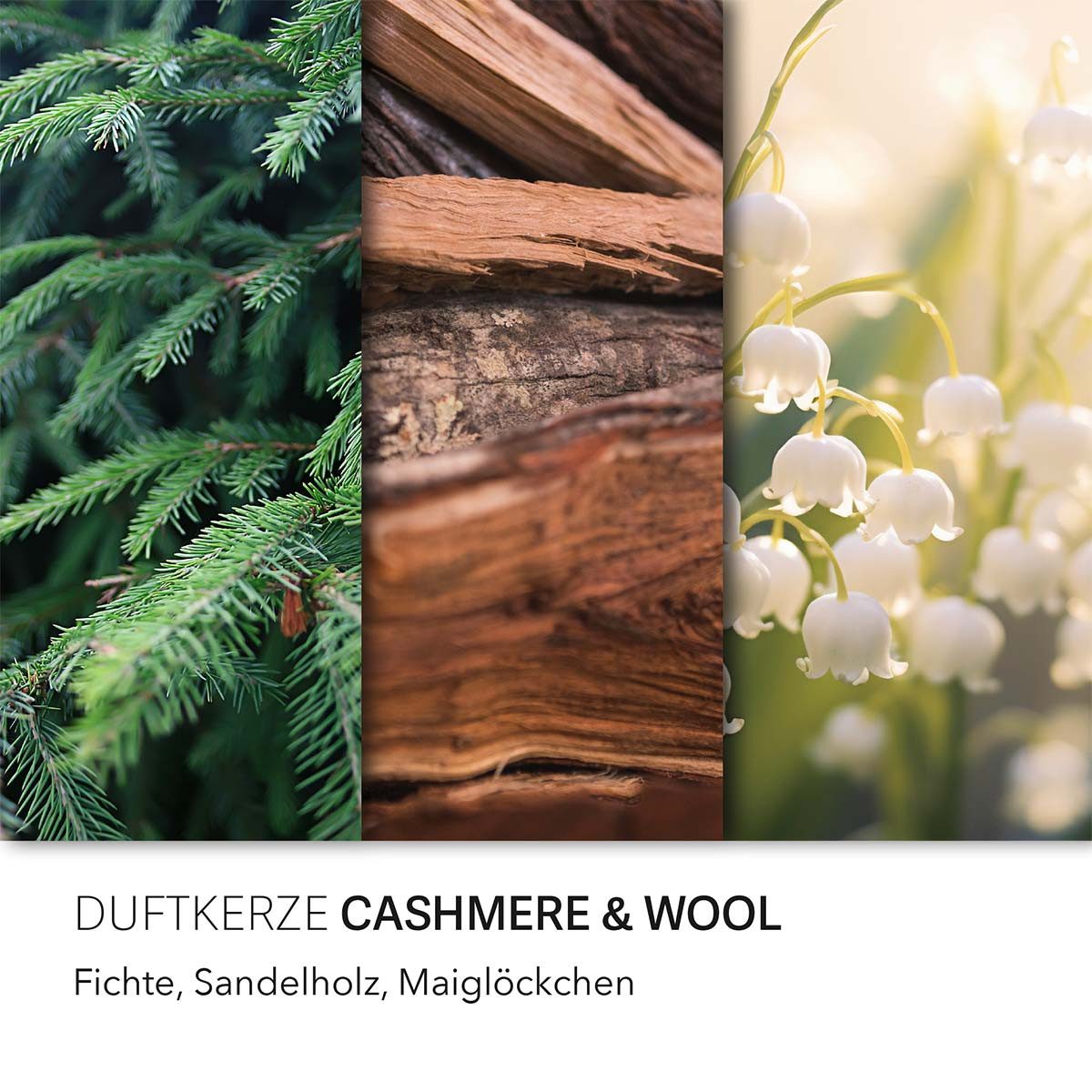 Candle BROTHERS Duftkerze Cashmere & Wool günstig online kaufen