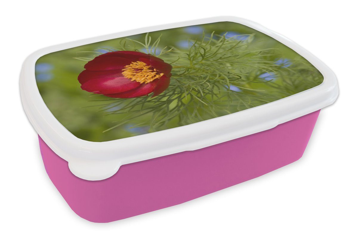 MuchoWow Lunchbox Die rote Pfingstrose mit grünem Hintergrund, Kunststoff, (2-tlg), Brotbox für Erwachsene, Brotdose Kinder, Snackbox, Mädchen, Kunststoff rosa