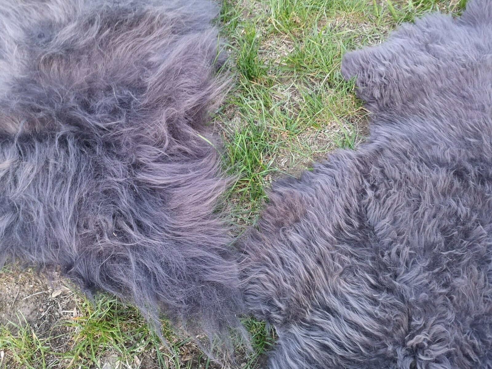 Provellus Fellteppich Öko Schaffell Lammfell Grau 2. Wahl Bis 140 cm Unikat, 30x30cm rund