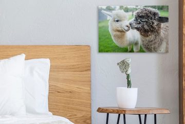 OneMillionCanvasses® Leinwandbild Liebe - Alpaka - Stofftier, (1 St), Wandbild Leinwandbilder, Aufhängefertig, Wanddeko, 30x20 cm
