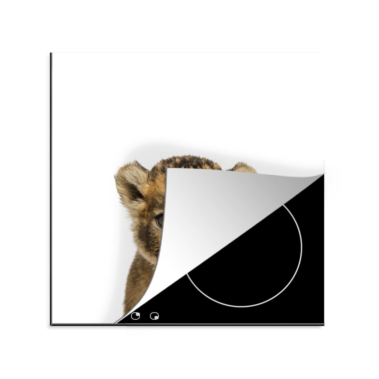 MuchoWow Herdblende-/Abdeckplatte Löwe - Kinder - Wildtiere - Jungtier - Junge, Vinyl, (1 tlg), 78x78 cm, Ceranfeldabdeckung, Arbeitsplatte für küche