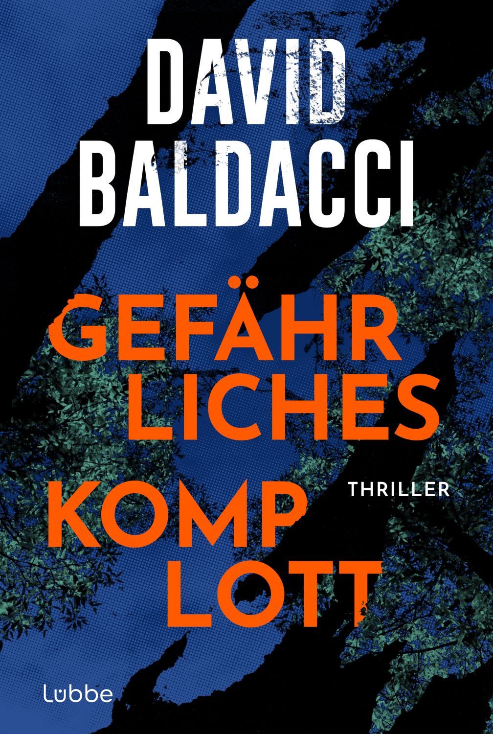 Gefährliches Komplott / David Baldacci