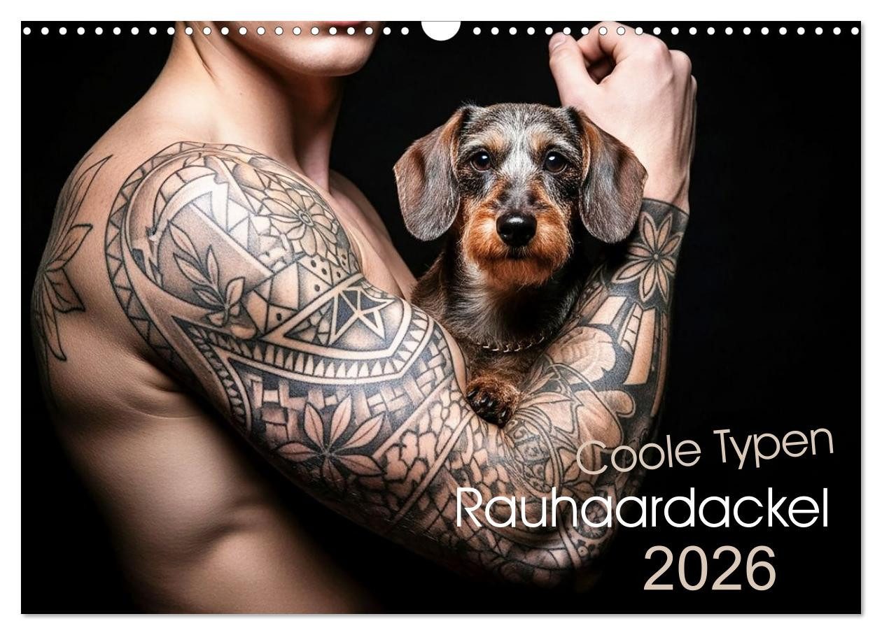 CALVENDO Wandkalender Coole Typen - Rauhaardackel (Wandkalender 2026 DIN A3 quer), CALVENDO
