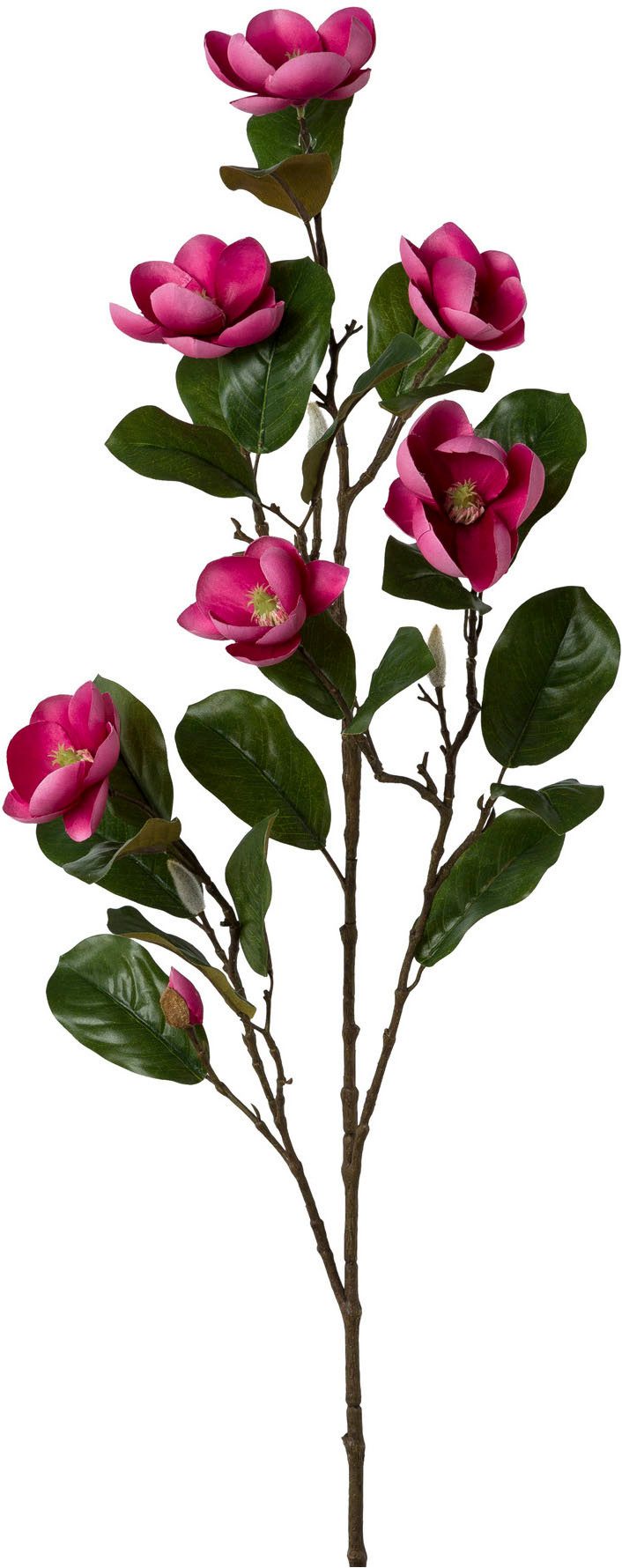 Kunstblume Magnolienzweig