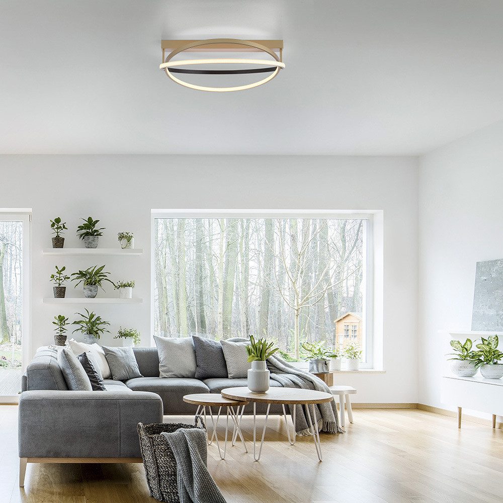 Paul Neuhaus Smarte LED-Leuchte LED Deckenleuchte Q-BELUGA Smart Home, Smart Home, RGB, Dimmfunktion, Memoryfunktion, CCT, mit Leuchtmittel, warmweiß, tageslichtweiß, Works with Alexa, APP, Fernbedienung