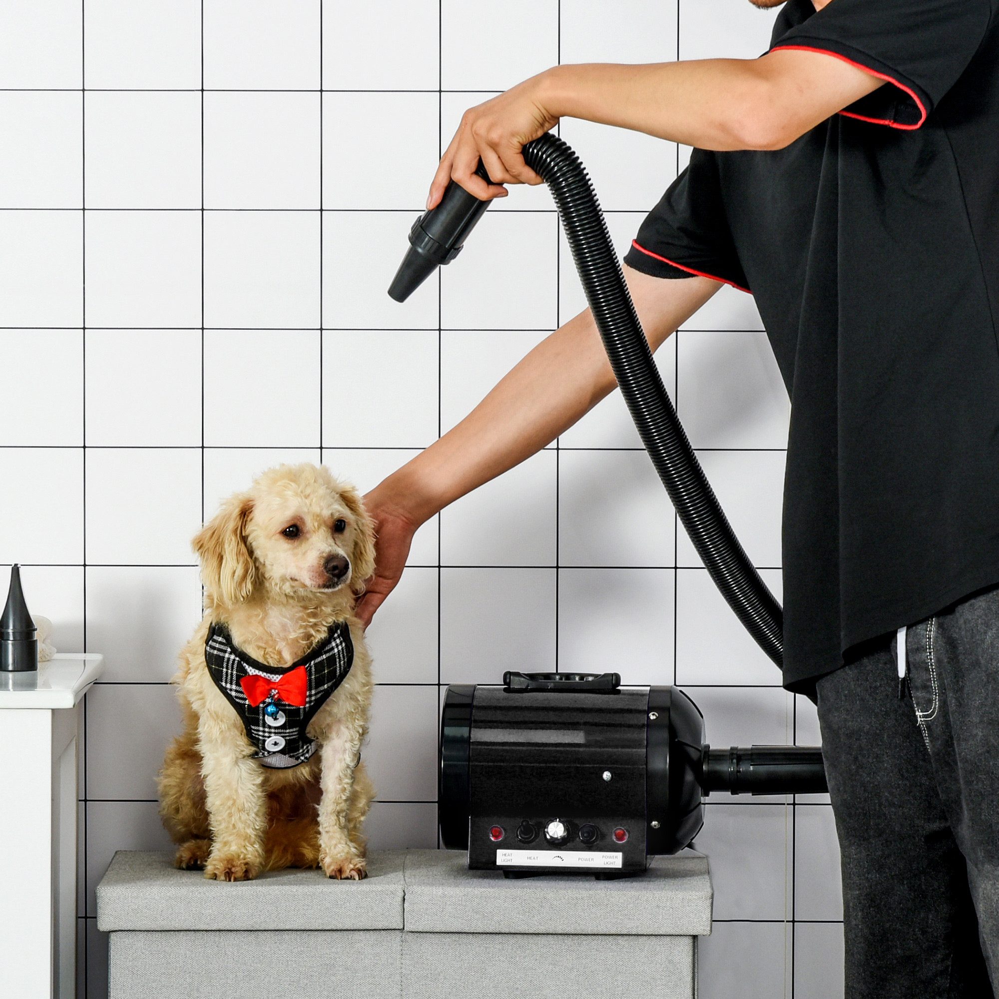 PawHut Hundeschermaschine Profi Hundefön Tierfön Pet Dryer Flüsterfön, Schwarz, Hundetrockner, 40L x 16B x 20H cm