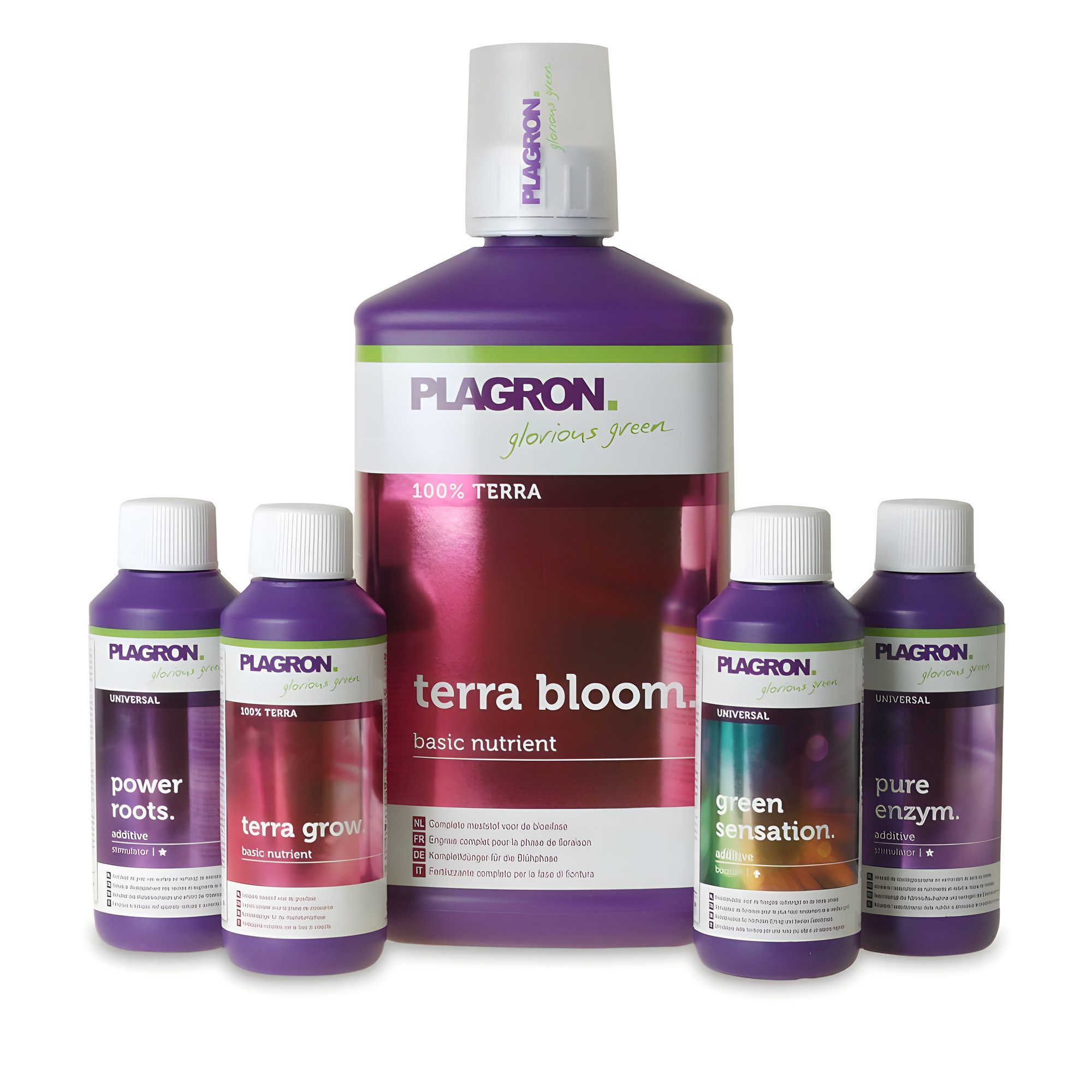 Plagron Spezialdünger Plagron Top Grow Box Terra, Starterset Erde