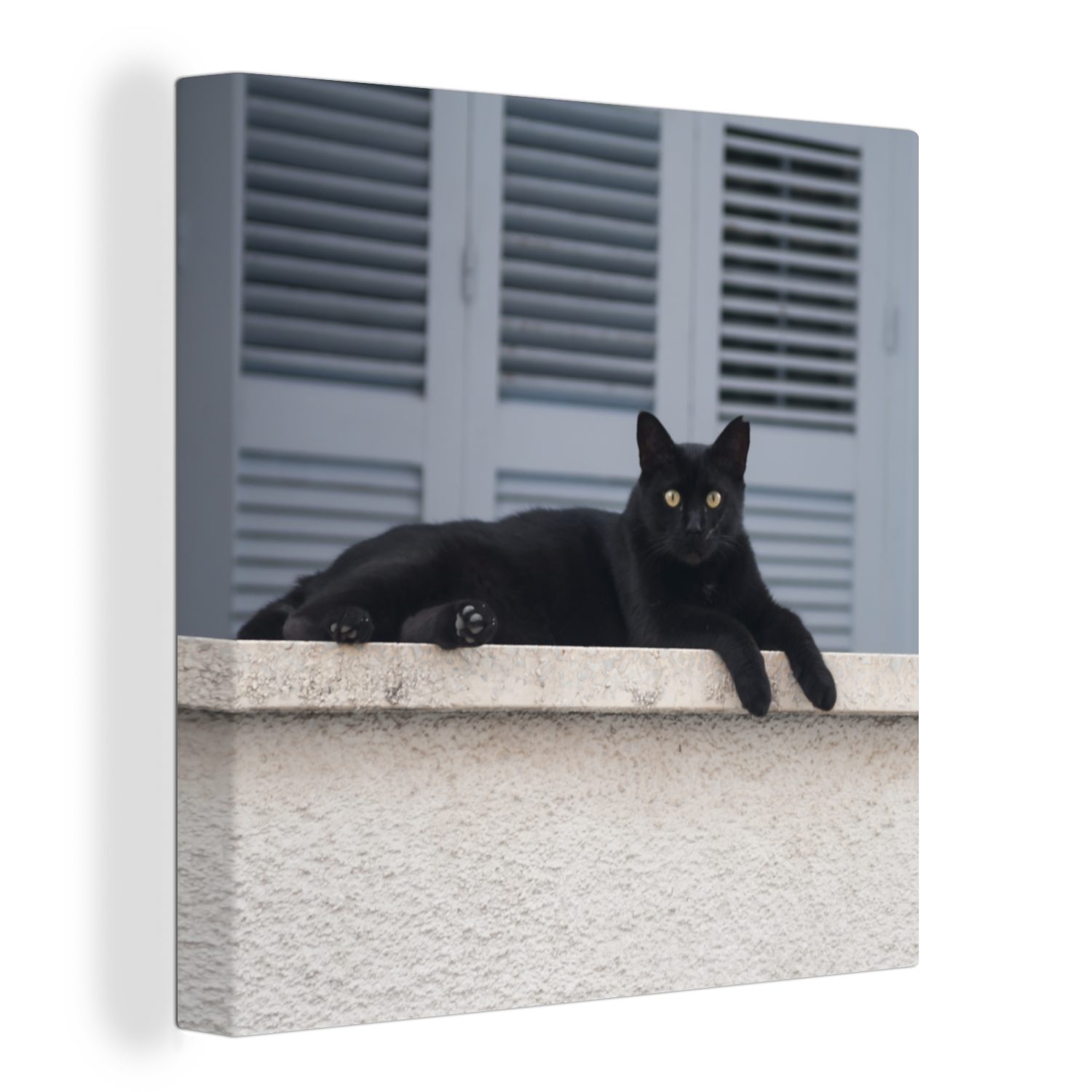 OneMillionCanvasses® Leinwandbild Katze - Schwarz - Fensterläden - Mädchen - Kinder - Jungen - Kind, (1 St), Leinwand Bilder für Wohnzimmer Schlafzimmer bunt