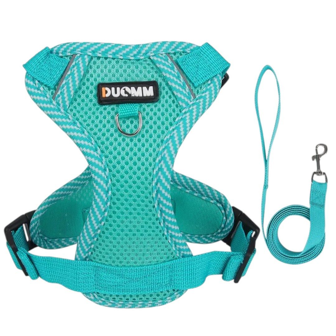 Eyecatcher Hunde-Geschirr Verstellbares Hunde-Geschirr-Set aus atmungsaktivem Mesh mit Leine (4