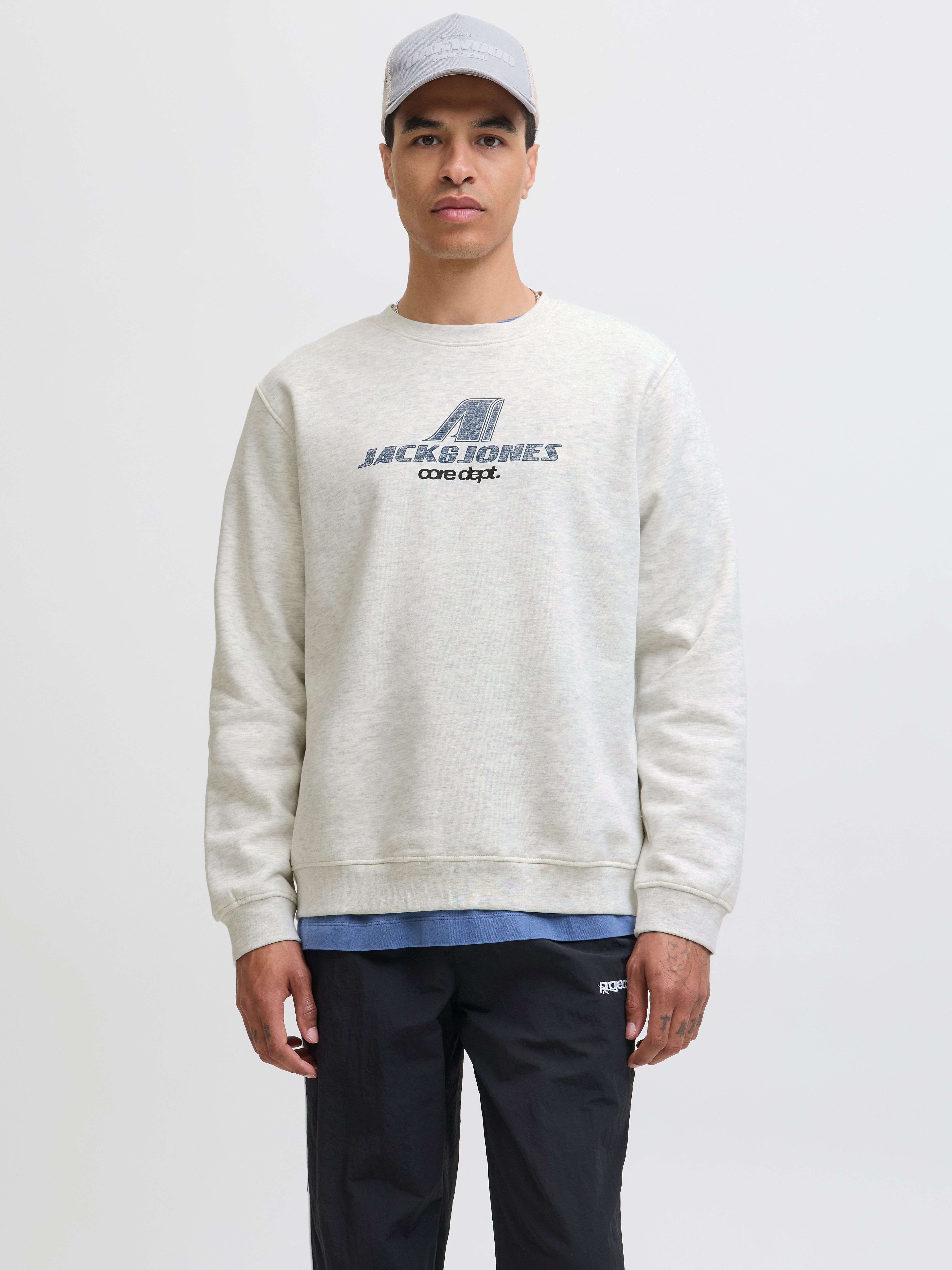 Jack & Jones Sweatshirt JCOTIER PRINT SWEAT CREW NECK günstig online kaufen