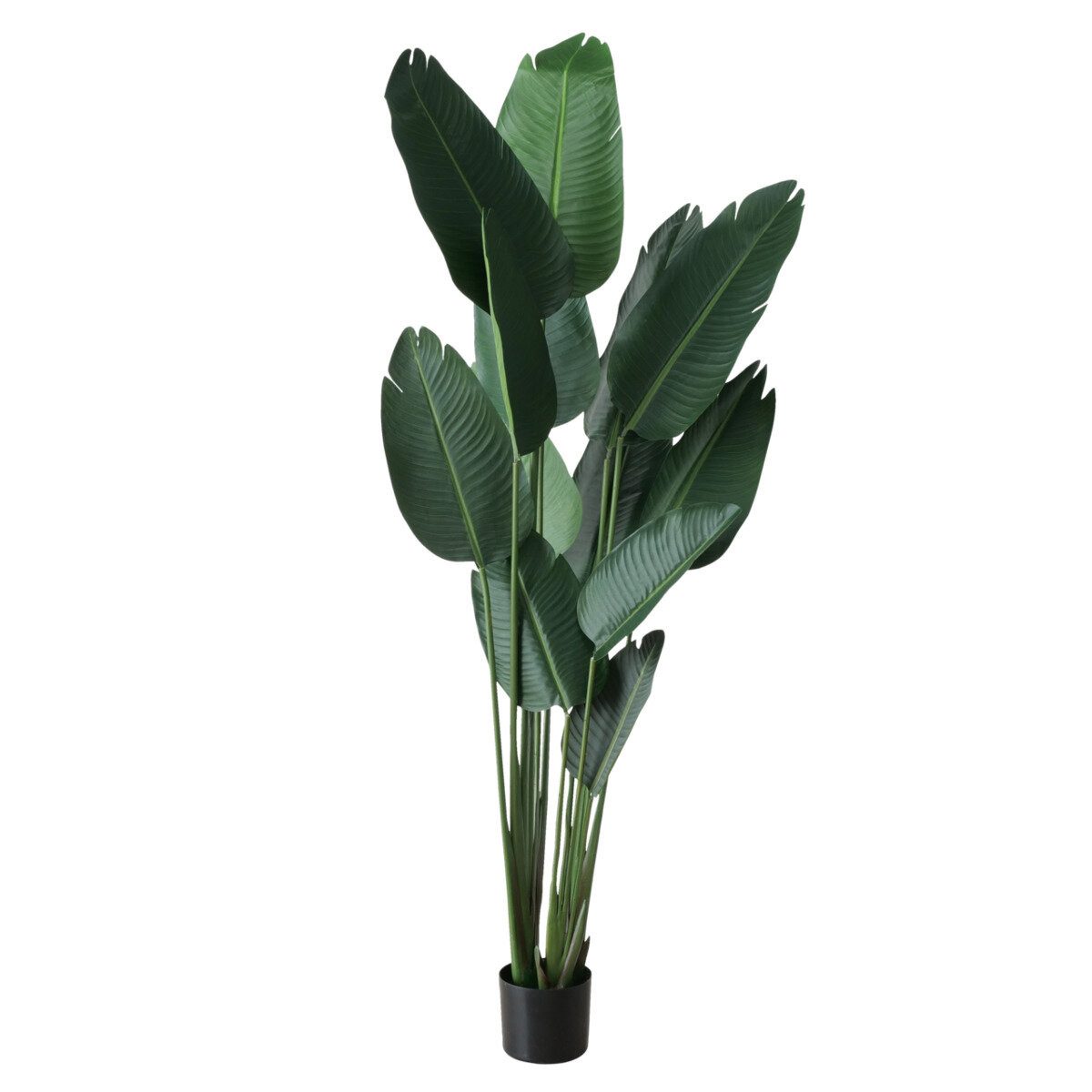 Kunstpflanze Künstliche Bananenpflanze, H. 185 cm Zimmerpflanze, BOLTZE GRUPPE GmbH, Höhe 185 cm
