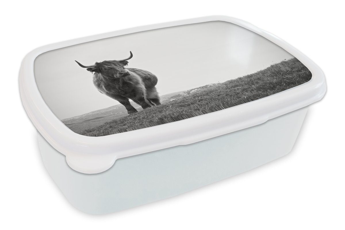 MuchoWow Lunchbox Tiere - Schottische Hochlandbewohner - Schwarz und weiß - Natur -, Kunststoff, (2-tlg), Brotbox für Kinder und Erwachsene, Brotdose, für Jungs und Mädchen