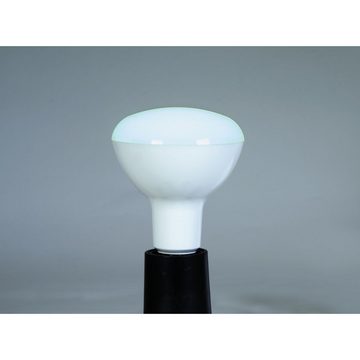 OMNILUX Spezialleuchtmittel, LED PAR-30 RGB/WW/CW WiFi - Brenner