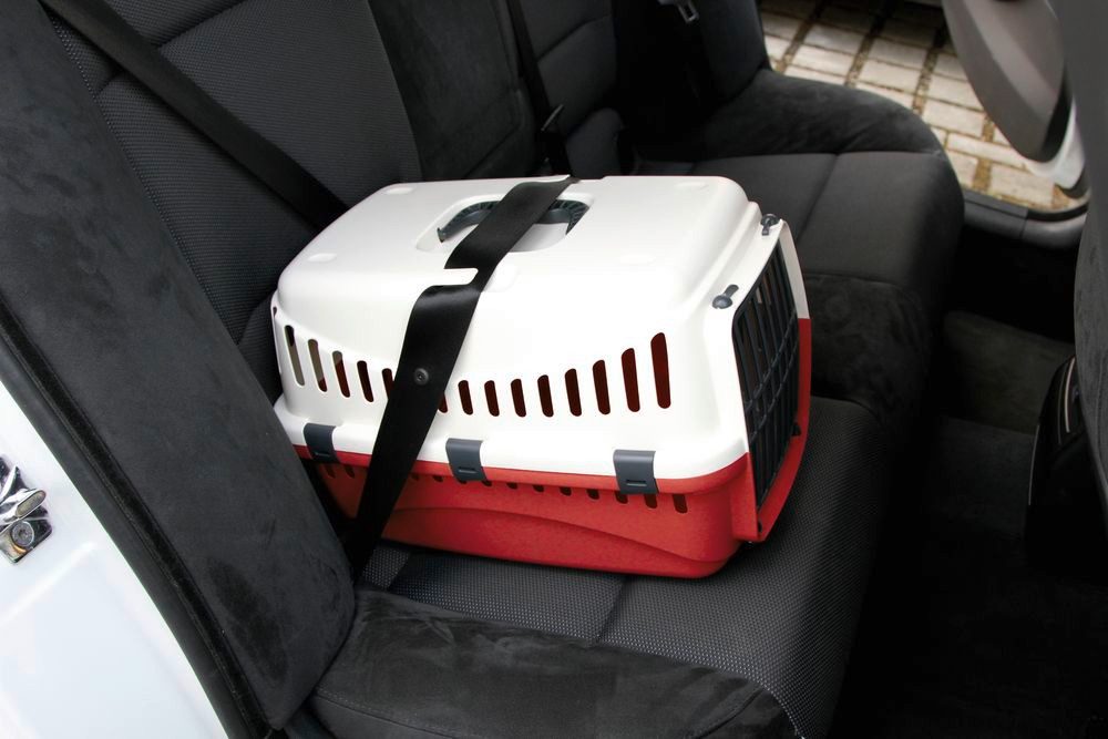Kerbl Tiertransportbox