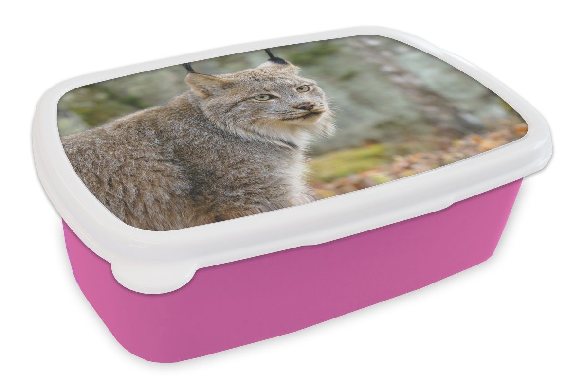 Kunststoff Wald Brotbox - - Luchs Erwachsene, MuchoWow Kinder, Lunchbox rosa Grau, Brotdose (2-tlg), für Mädchen, Kunststoff, Snackbox,