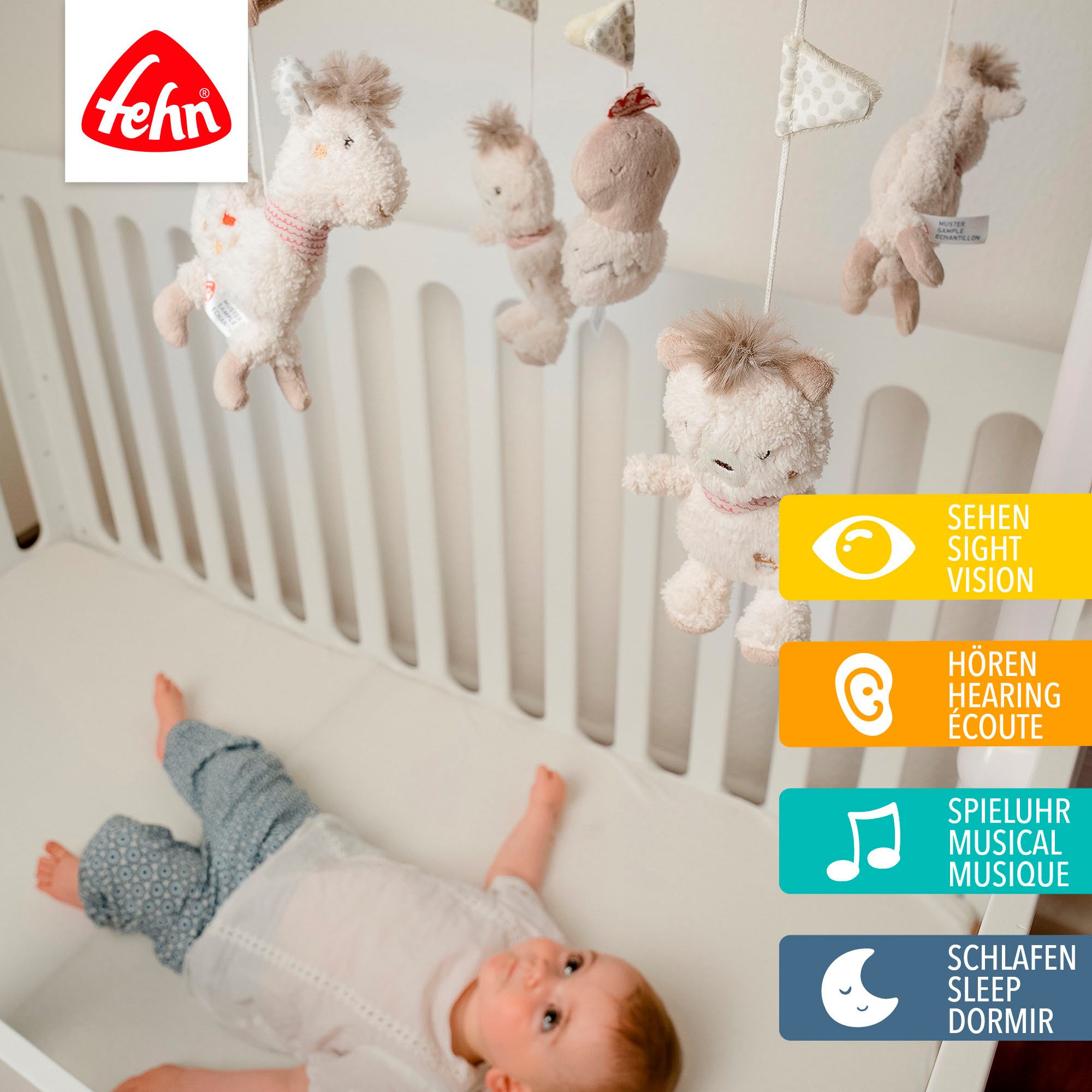 Fehn Mobile Peru, Musikmobile