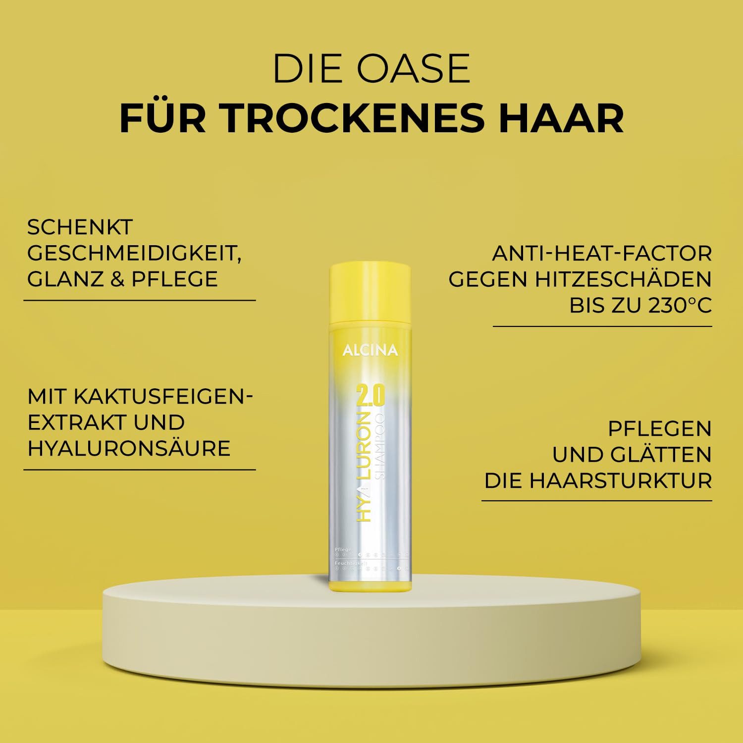 ALCINA Haarshampoo Hyaluron 2.0 Shampoo, 250 ml, 1-tlg., Feuchtigkeit