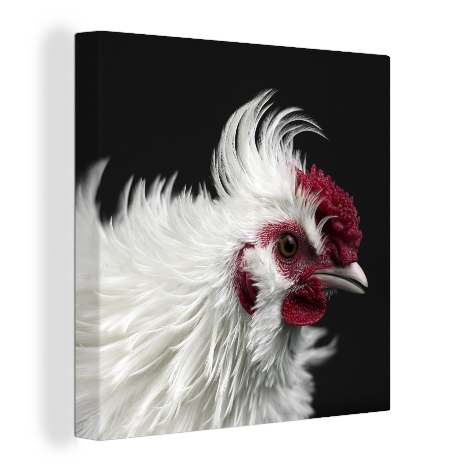 OneMillionCanvasses® Leinwandbild Huhn - Vogel - Schwarz, (1 St), Leinwand Bilder für Wohnzimmer Schlafzimmer