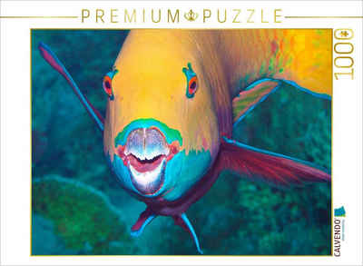 CALVENDO Puzzle CALVENDO Puzzle Dieser Papageifisch scheint zu fragen: Bin ich schön? 1000 Teile Lege-Größe 64 x 48 cm Foto-Puzzle Bild von Ute Niemann, 1000 Puzzleteile