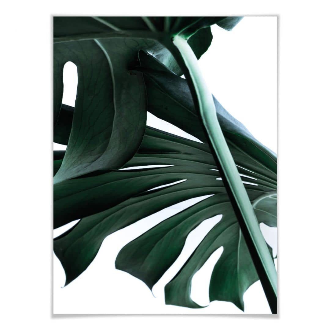 Wall + modern Dschungel Set, Wohnzimmer Blätter Poster Collage Art Wandbild Monstera Bilderrahmen 2er K&L Poster